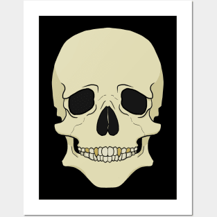 Gold tooth skull Posters and Art